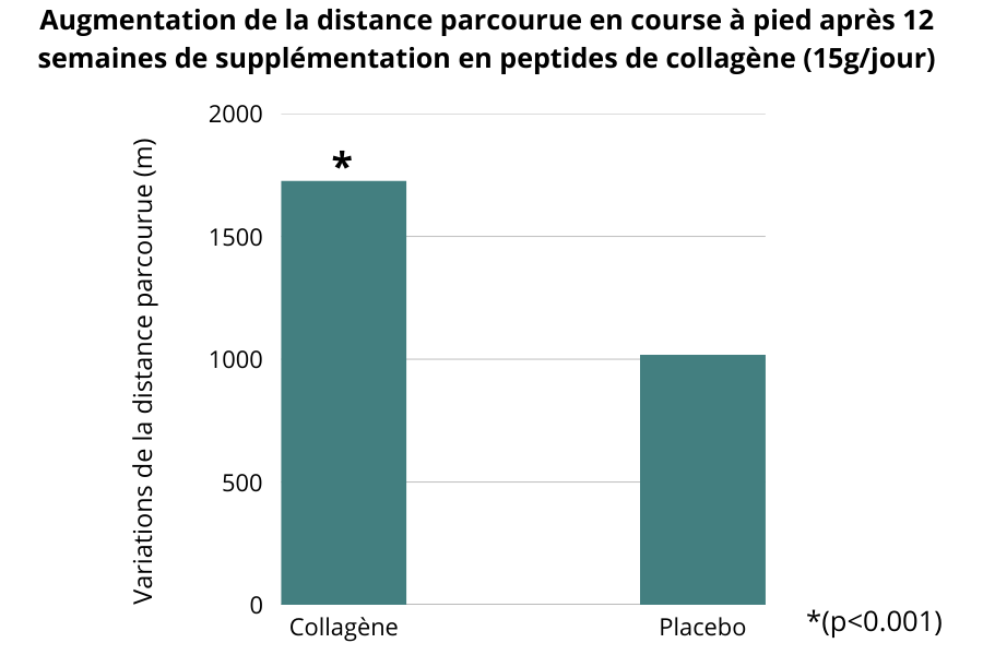 augmentation de la distance parcourue en course à pied après 12 semaines de supplémentation en peptides de collagène